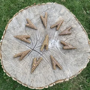 Beautiful Ayahuasca Vine Kuripe5