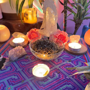 Chanca Piedra Capsules