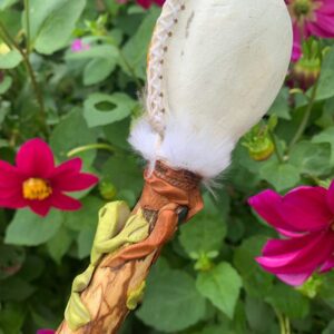 Kambo Frog & Ayahuasca Maraca