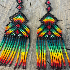 Noke Koî Earrings Rainbow